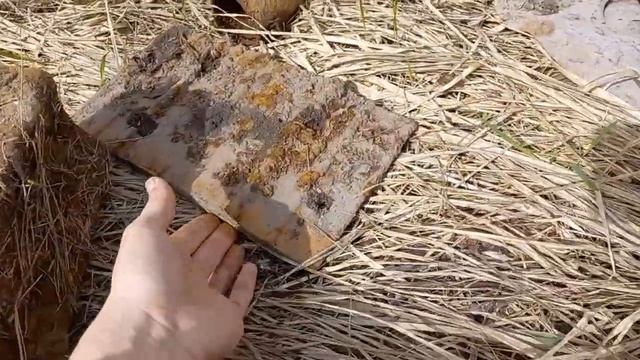 Всё это, я нашёл за 1,5 часа металлопоиска! Коп металлолома 2022