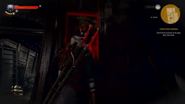 The Witcher 3: Wild Hunt – Anna Karenina Easter Egg смотреть онлайн