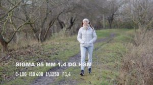 Обзор работы автофокуса canon EOS R6  на старых EF объективах. Черные круги от стекол Sigma