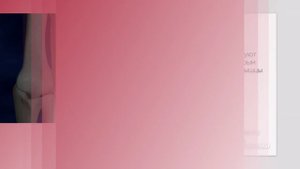 Скелет человека