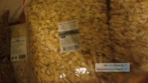 Как прожить на 1000 рублей в месяц?