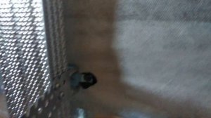 Ванная 1 - 1 -  утепление, пароизоляция и гипсокартон