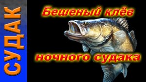 судак ночью.