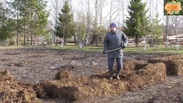 Как сделать гряду парник из навоза