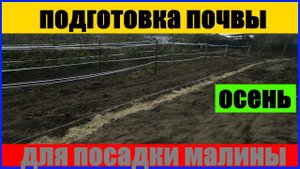 подготовка почвы для посадки малины осенью Малина Правильная подготовка траншеи для посадки #посадка