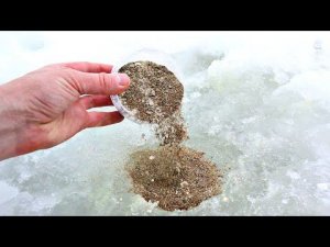 С этой прикормкой будет лучшая рыбалка в вашей жизни в конце зимы.  Прикормите этим в феврале марте