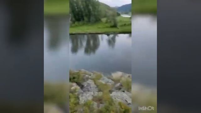 Аэролодка на Алтае , река Ануй смотреть онлайн