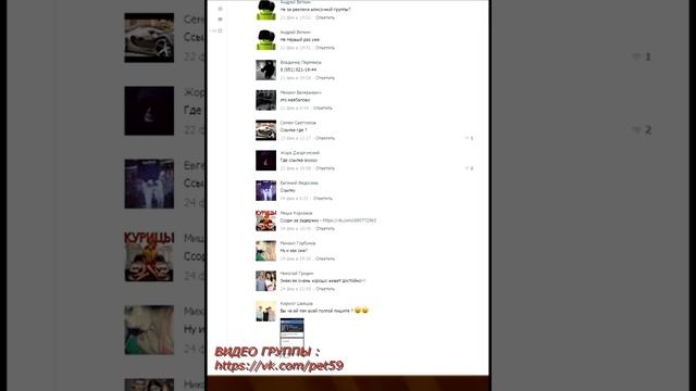 Видео с куриц смотреть онлайн