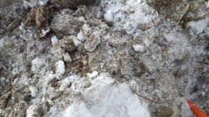 Пинпоинтер Сфинкс 02 магнетик поиск самородков в щетках