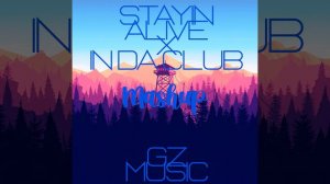 Stayin Alive x In Da Club (Mashup)