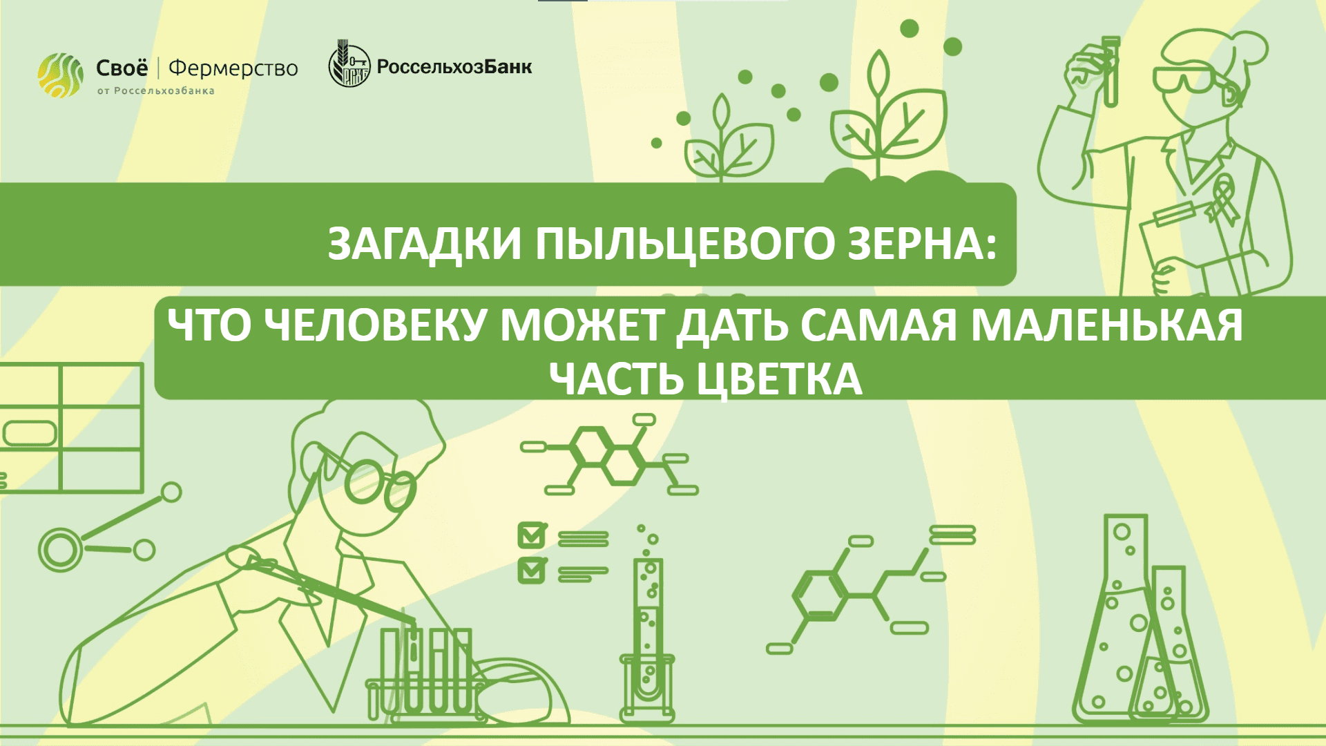 Загадки пыльцевого зерна: что человеку может дать самая маленькая часть цветка