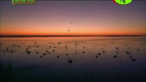 Охота на утку. Краснодарский край.