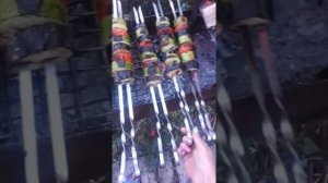 Как быстро растут гуси.