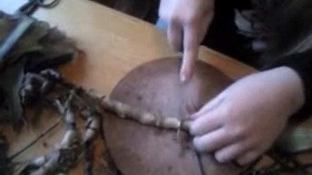 Ствол Каллизии душистой(золотого уса) смотреть онлайн