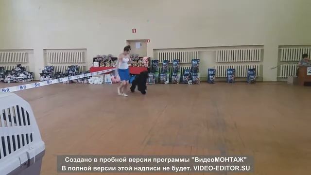 Вишня моно 9 гр 31 08 2019 1 смотреть онлайн