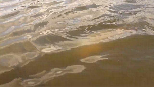 Ловля карпа на диком водоёме. Карпфишинг в завоз. В погоне за диким трофеем #3. смотреть онлайн