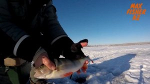 Городские МОНСТРЫ!!! Ловля рыбы на #безмотылку. День второй.