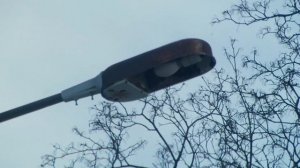 Уличные фонари СКЗР-250-У1 и ЖКУ с лампами ДРЛ