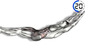 Legendary Ab Exercises | 7 Effective Ab Exercises