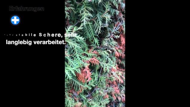 Makita DUH 523 Heckenschere - Erfahrungen (Akku) смотреть онлайн