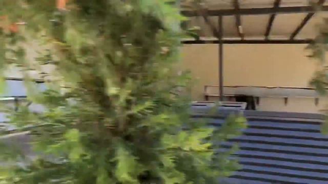 Devil's Marbles, Wycliffe Well, Alice Springs - Special Guest Declan - Darwin to Adelaide Trip смотреть онлайн