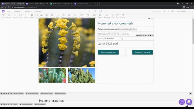 Markdown/настройка описания товара с форматированием на Creatium смотреть онлайн