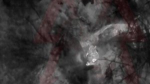 Наши бойцы ликвидировали хохла сбросом ВОГ с дрона 
video_2023-09-04_21-05-51