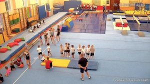 Спортивная гимнастика