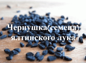 Как сажать семена(чернушку) в открытый грунт ялтинского лука.Эксперимент.