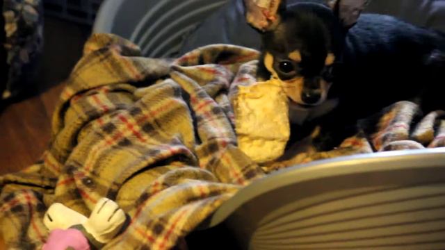 ляля5 011 смотреть онлайн