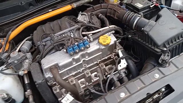 Гранта фл Двигатель 11182 прогрев и работа на холодную!!! смотреть онлайн