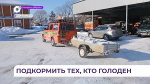 Инспекторы госохотнадзора помогают диким животным пережить непростую зиму