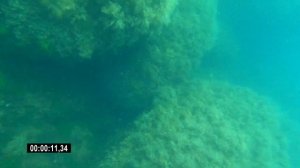 ТОП-10 выходов на рыбу. Подводная охота в Черном море.