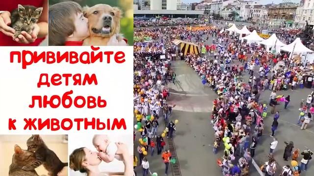 NHR ♥ ДЕНЬ ТИГРА 2019 ПРИЗЫВ