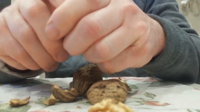 #Горіх Фернор в Україні #якість ядра смотреть онлайн