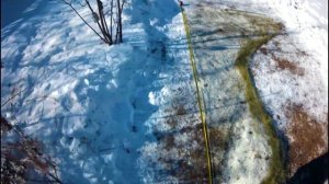 Тайник для ловли певчих птиц! Как сделан мой тайник! Легко, быстро и просто!