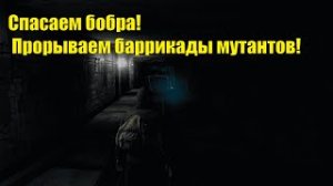 Спасаю бобра, кидая веревку из пещеры паукана. Stay out/Сталкер онлайн.