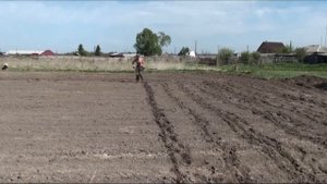 024.Как быстро посадить картошку одному без помощника.