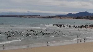 SAN FELIPE, Baja California, Mexico