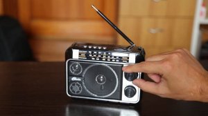 Радио Ritmix RPR-171