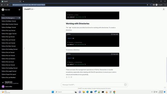 python file management