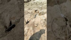 В первый раз на Иртыше база село Тугалово