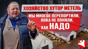 Бизнес на овцах | Содержание молочных и мясных овец | Овцы породы цвартблес