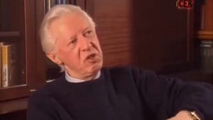 Джон Кеннеди  История одного убийства