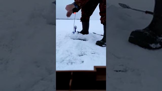 Зимняя рыбалка 9 января смотреть онлайн