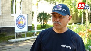 Как избежать встречи со змеями, и что делать, если гадюка все-таки укусила?