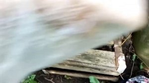 Красим чехол.Покрасил чехол от телефона.