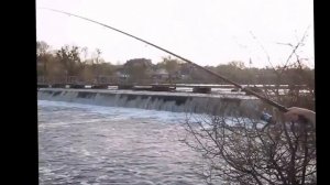 Женская рыбалка... Women's fishing