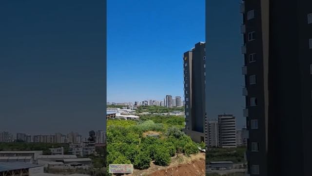 Турция ?? Мерсин /Район Мезитли Куйлук 1+1 смотреть онлайн