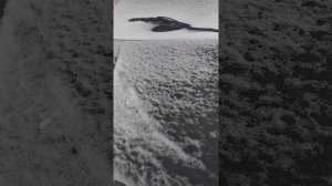 продам дизельный двигатель на ГАЗЕЛЬ.